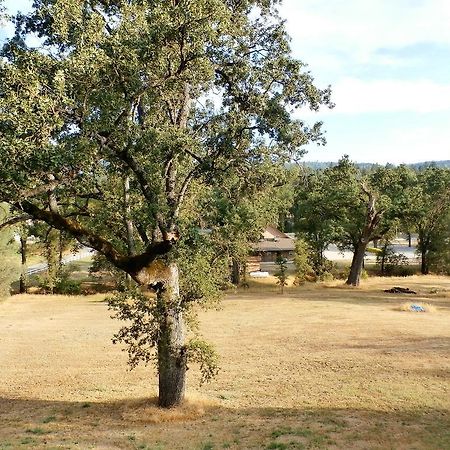 New Charming 2 Bedrooms Unit Close To Everything Oakhurst Exterior foto